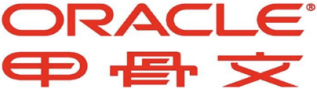 ORACLE甲骨文